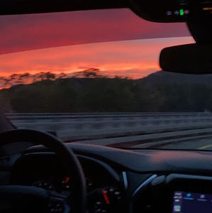 Meet your Posher, Annabelle